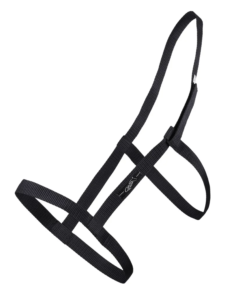 QHP Field Headcollar in Black